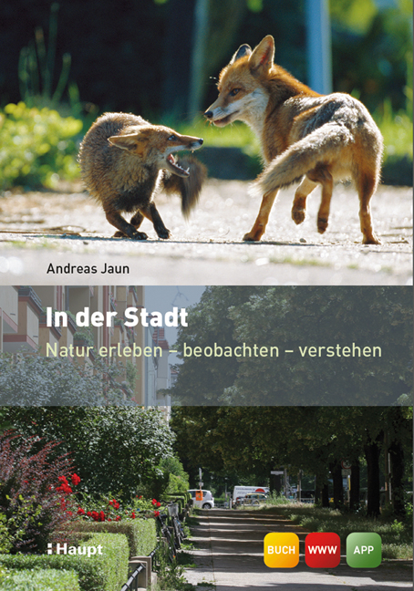 Vorderes Coverbild In der Stadt