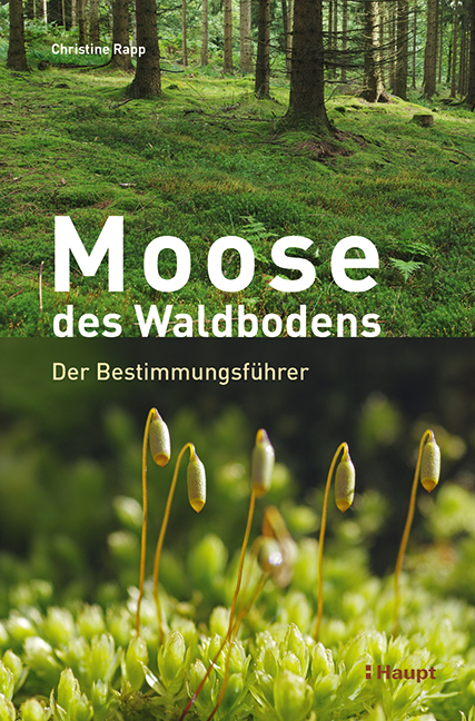 Vorderes Coverbild Moose des Waldbodens