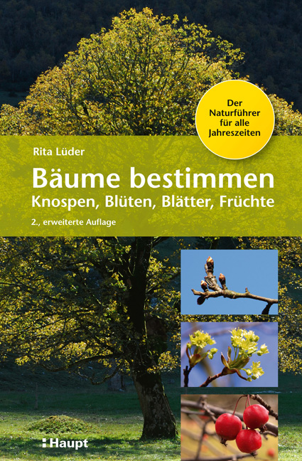 Vorderes Coverbild Bäume bestimmen - Knospen, Blüten, Blätter, Früchte