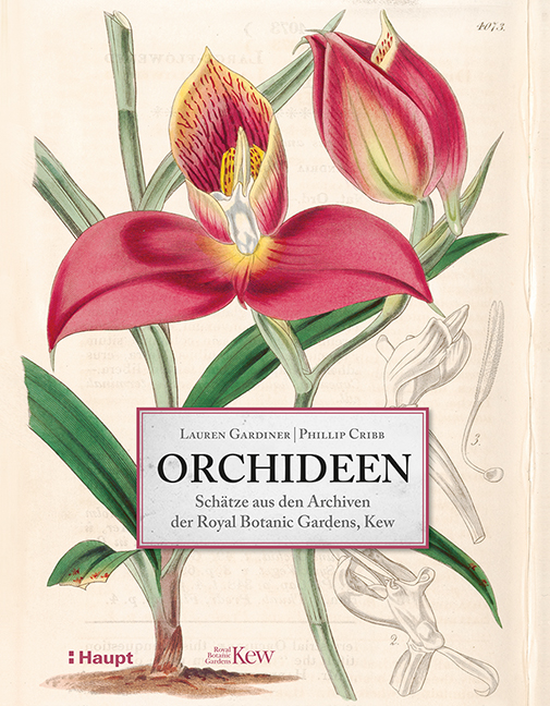 Vorderes Coverbild Orchideen