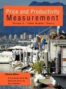 Vorderes Coverbild Price and Productivity Measurement