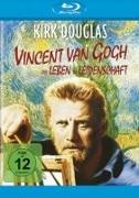 Vorderes Coverbild Vincent van Gogh - Ein Leben in Leidenschaft