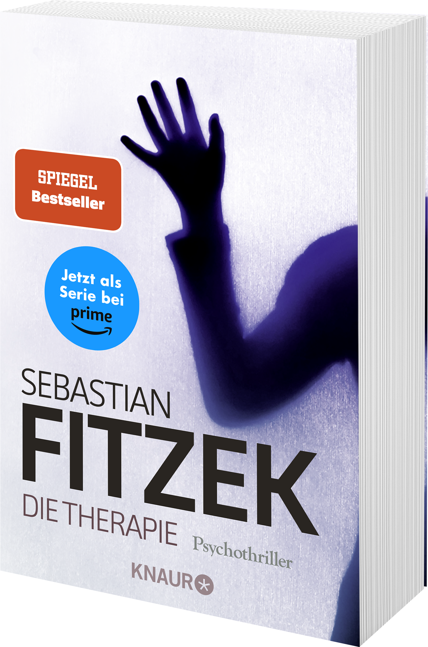 Gesamtes Coverbild Die Therapie