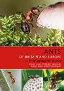 Vorderes Coverbild Ants of Britain and Europe