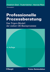 Vorderes Coverbild Professionelle Prozessberatung