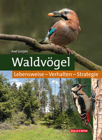 Vorderes Coverbild Waldvögel