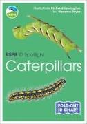 Vorderes Coverbild RSPB ID Spotlight - Caterpillars