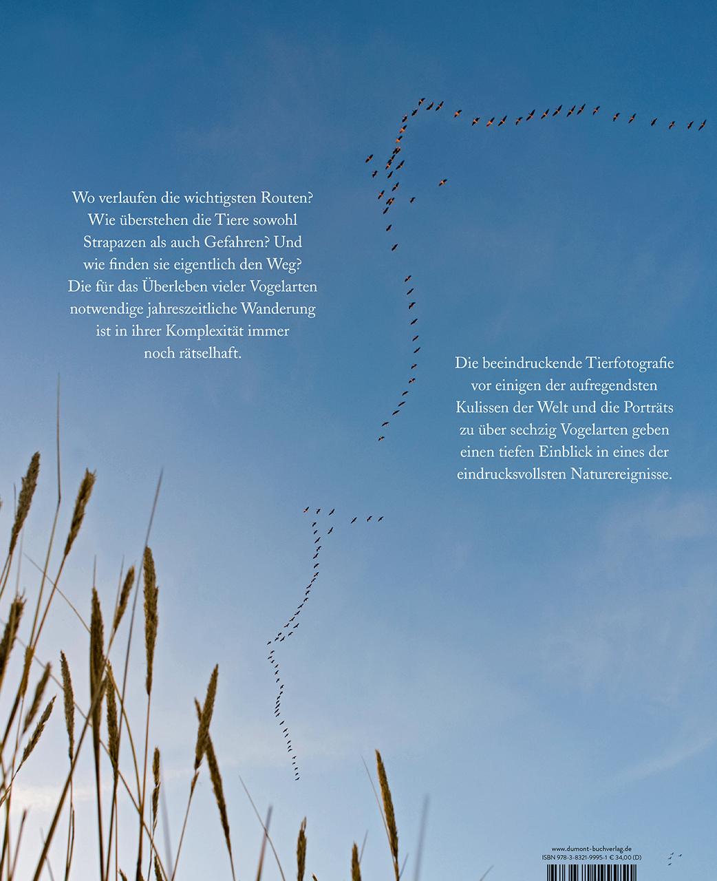 Rückseitencover Zugvögel