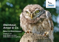 Vorderes Coverbild Steinkauz, Amsel & Co