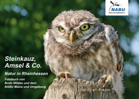 Vorderes Coverbild Steinkauz, Amsel & Co