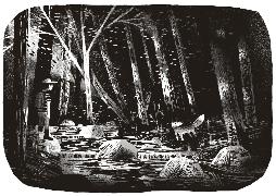 Beispielinhalt (Bild) Mein Freund Pax – Die Heimkehr