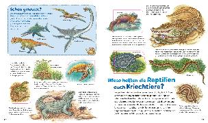 Beispielinhalt (Bild) WAS IST WAS Junior Alles lebt! Von klitzeklein bis riesengroß