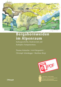 Vorderes Coverbild Bergahornweiden im Alpenraum