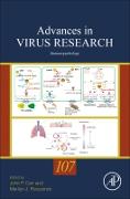 Vorderes Coverbild Immunopathology: Volume 107