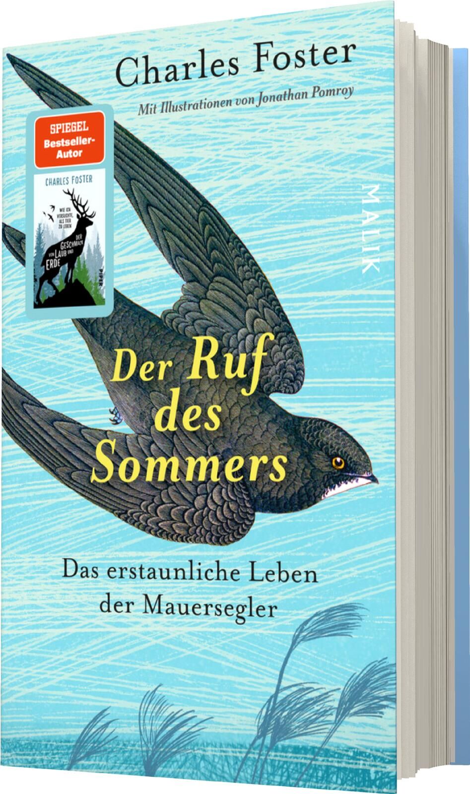 Gesamtes Coverbild Der Ruf des Sommers