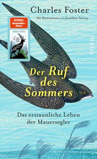 Vorderes Coverbild Der Ruf des Sommers