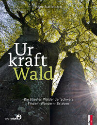 Vorderes Coverbild Urkraft Wald