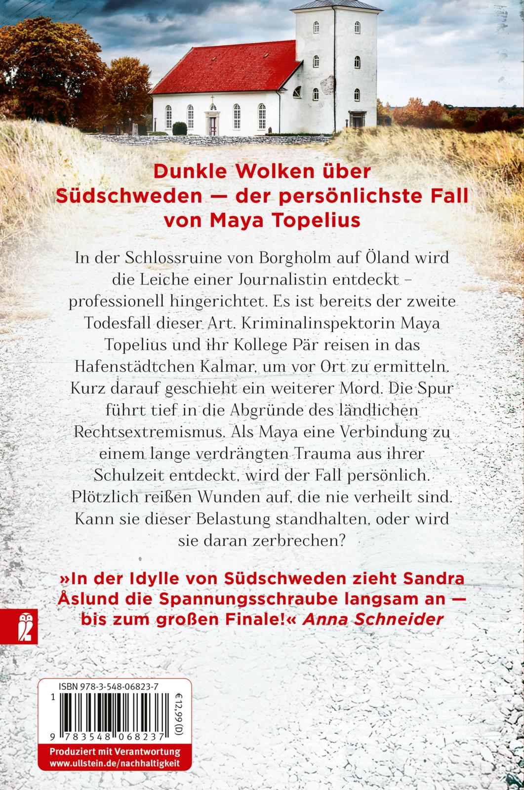 Rückseitencover Dann ruhest auch du (Ein Fall für Maya Topelius 3)