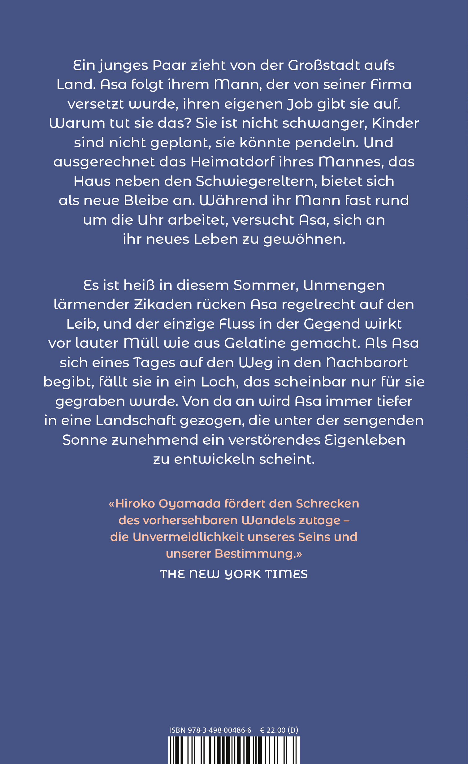Rückseitencover Das Loch