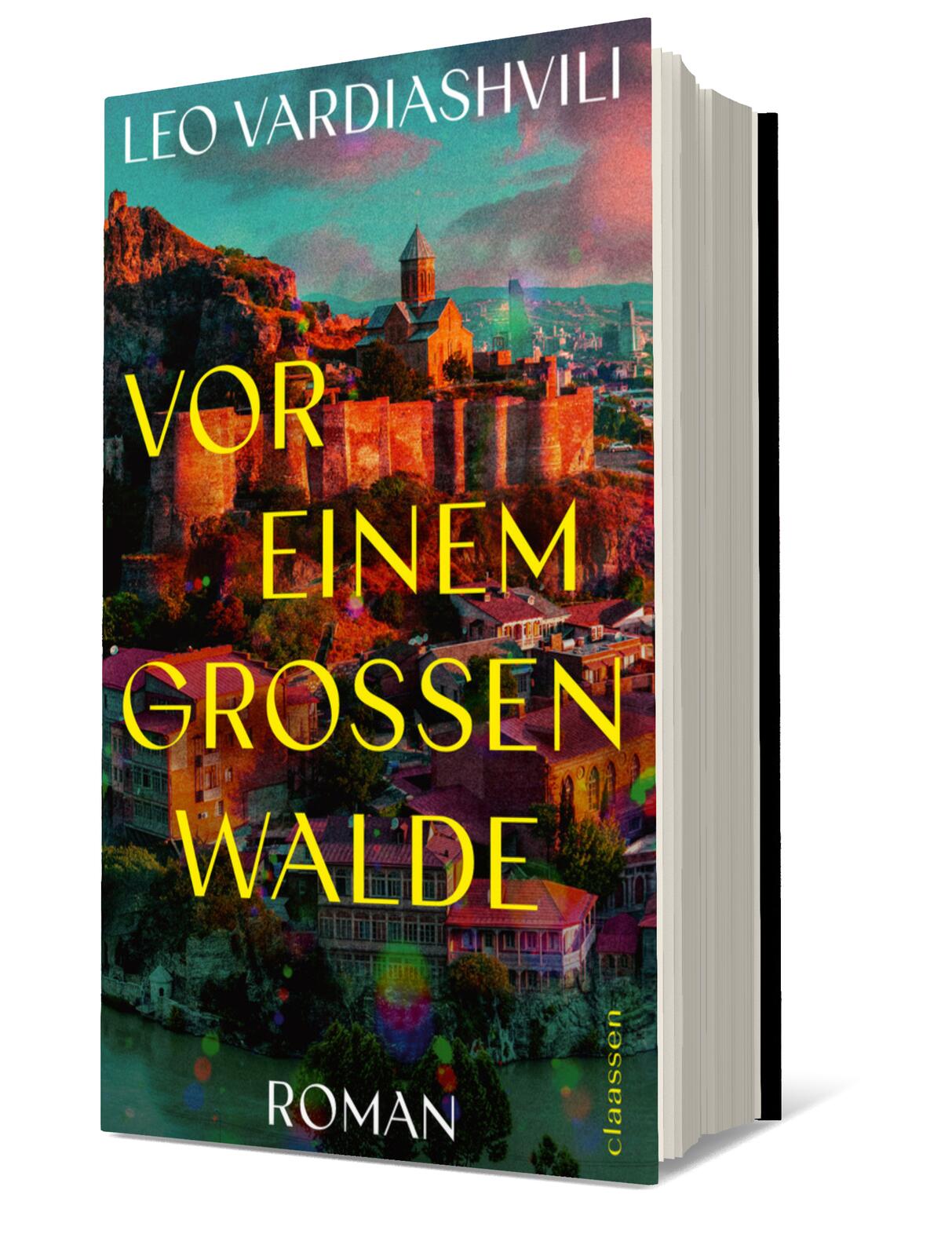 Gesamtes Coverbild Vor einem großen Walde