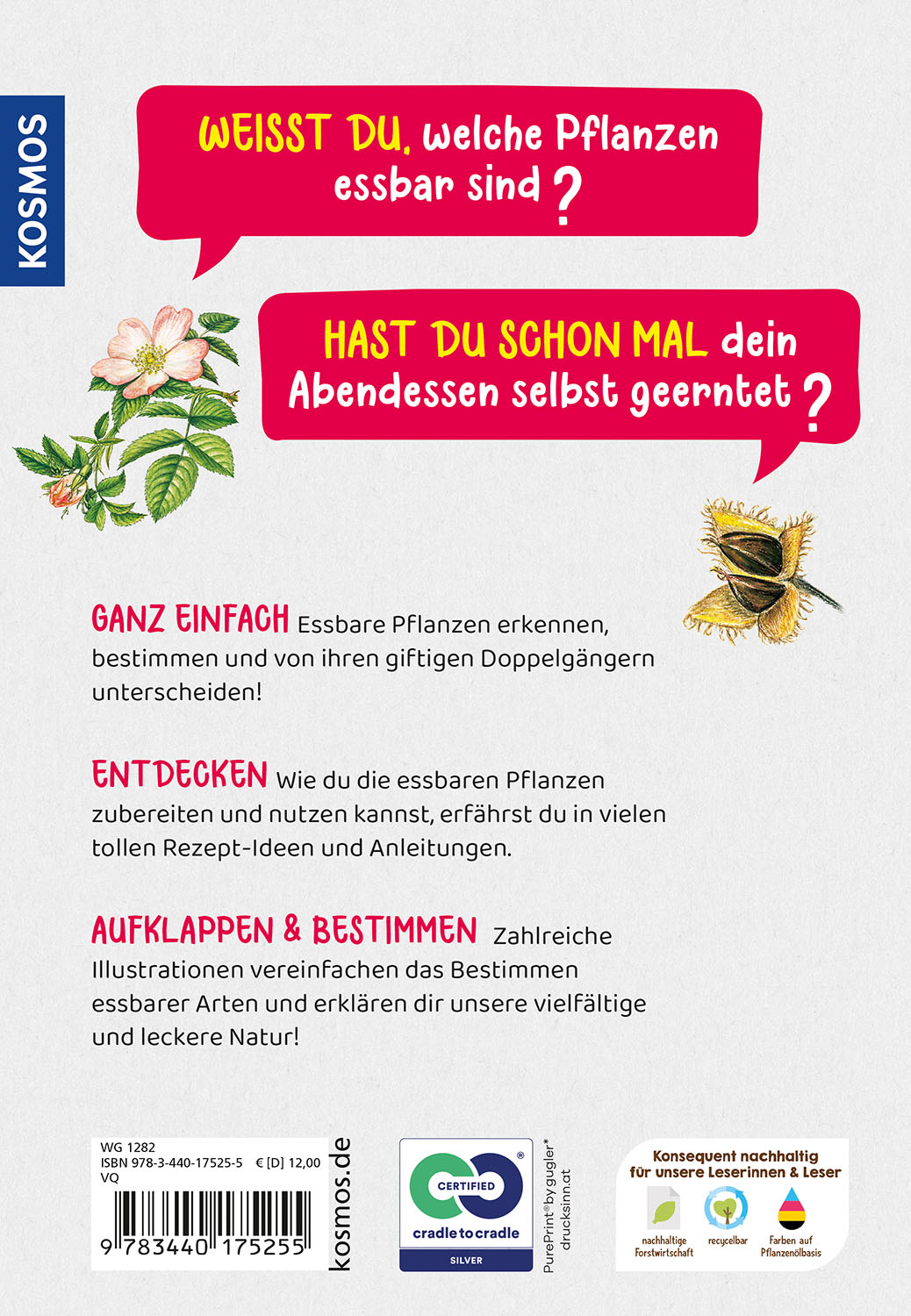 Rückseitencover Welche essbare Pflanze ist das? Kindernaturführer