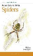 Vorderes Coverbild Pocket Guide to British Spiders