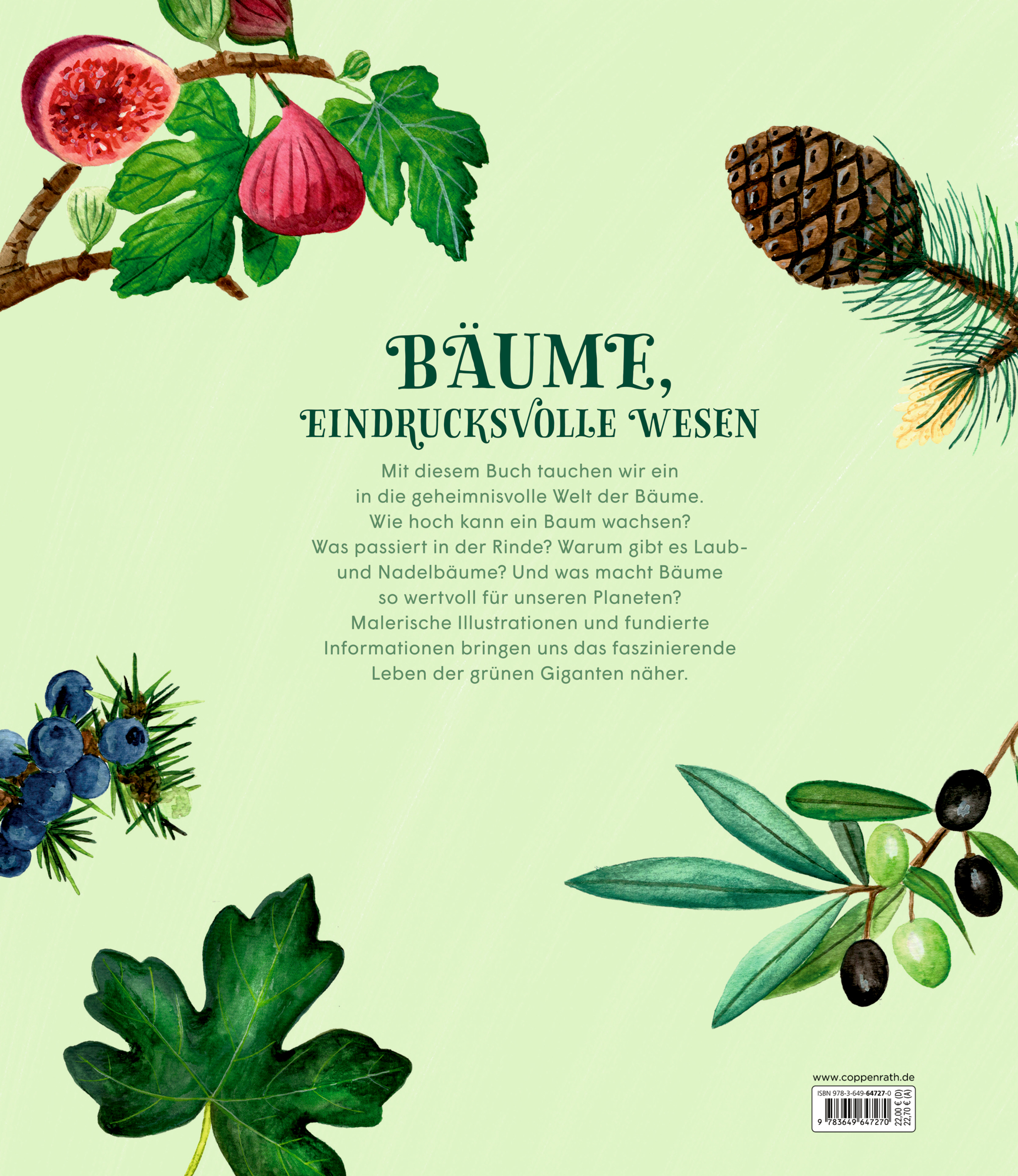 Rückseitencover Die geheime Welt der Bäume