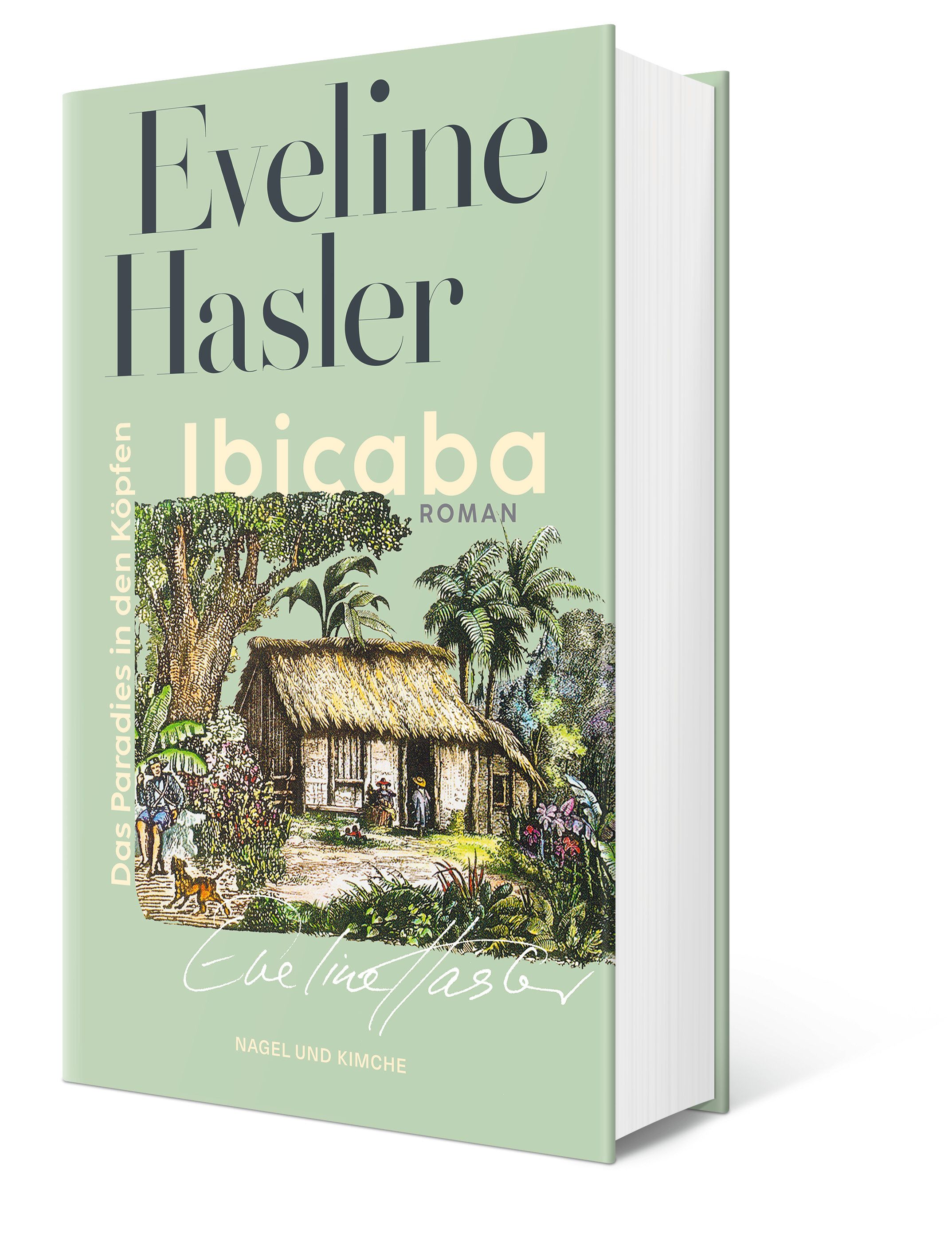 Gesamtes Coverbild Ibicaba