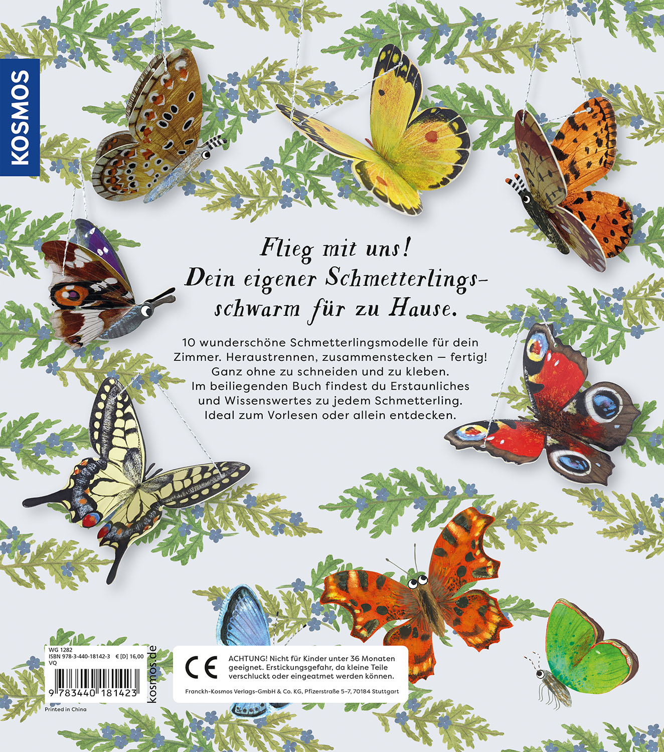 Rückseitencover Flieg mit uns!