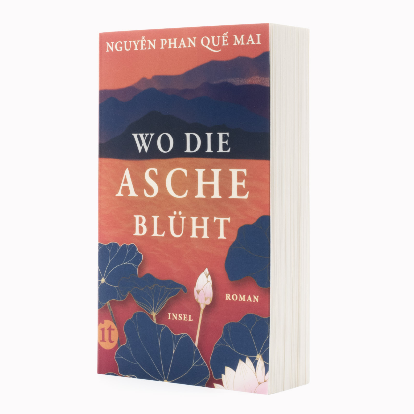 Gesamtes Coverbild Wo die Asche blüht