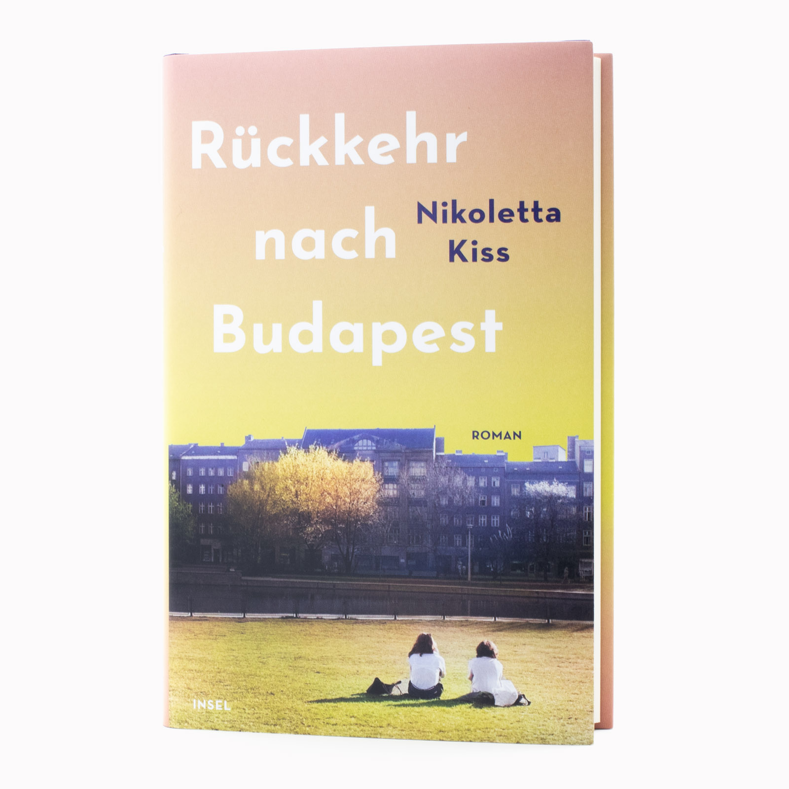 Gesamtes Coverbild Rückkehr nach Budapest