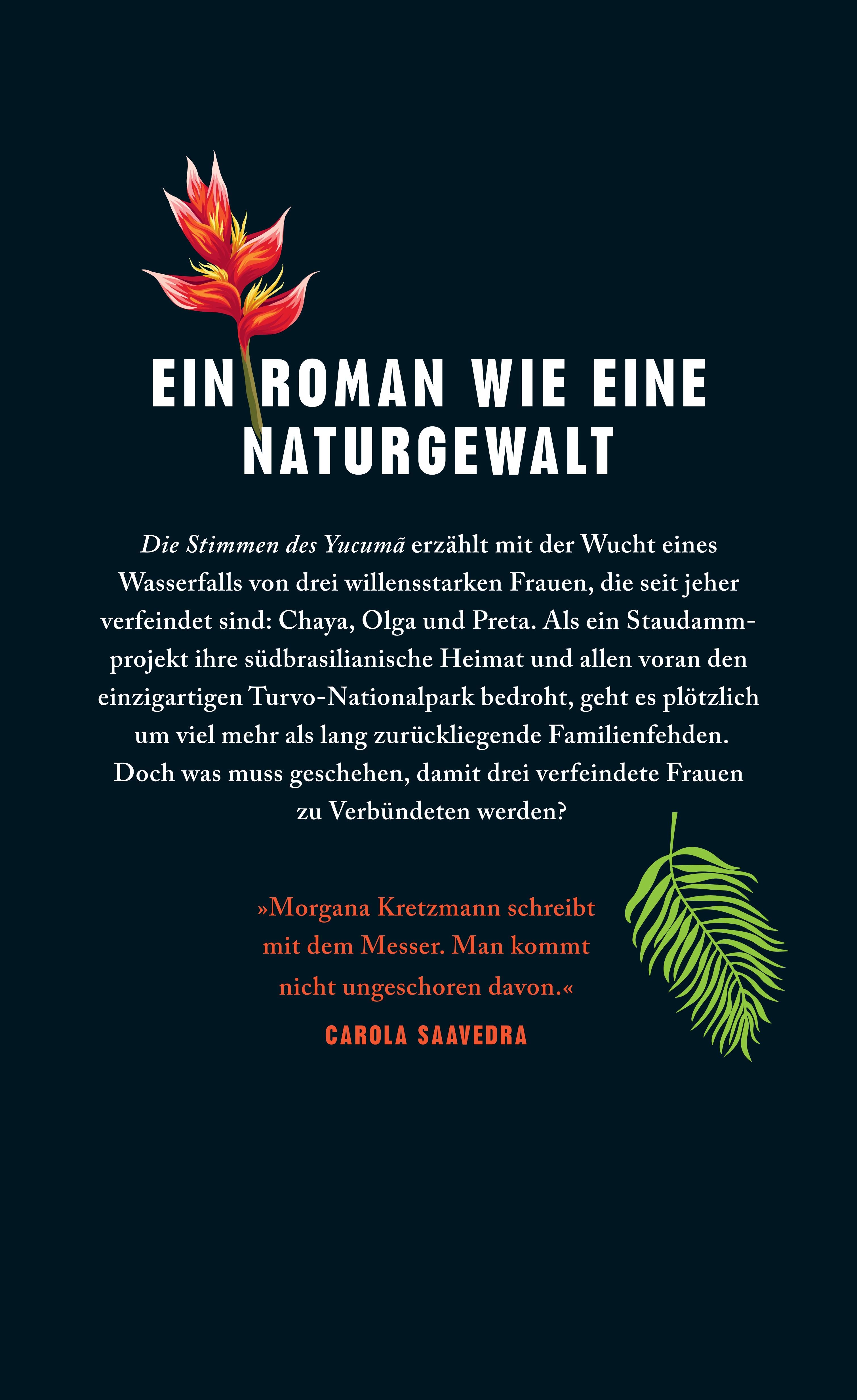 Rückseitencover Die Stimmen des Yucumã