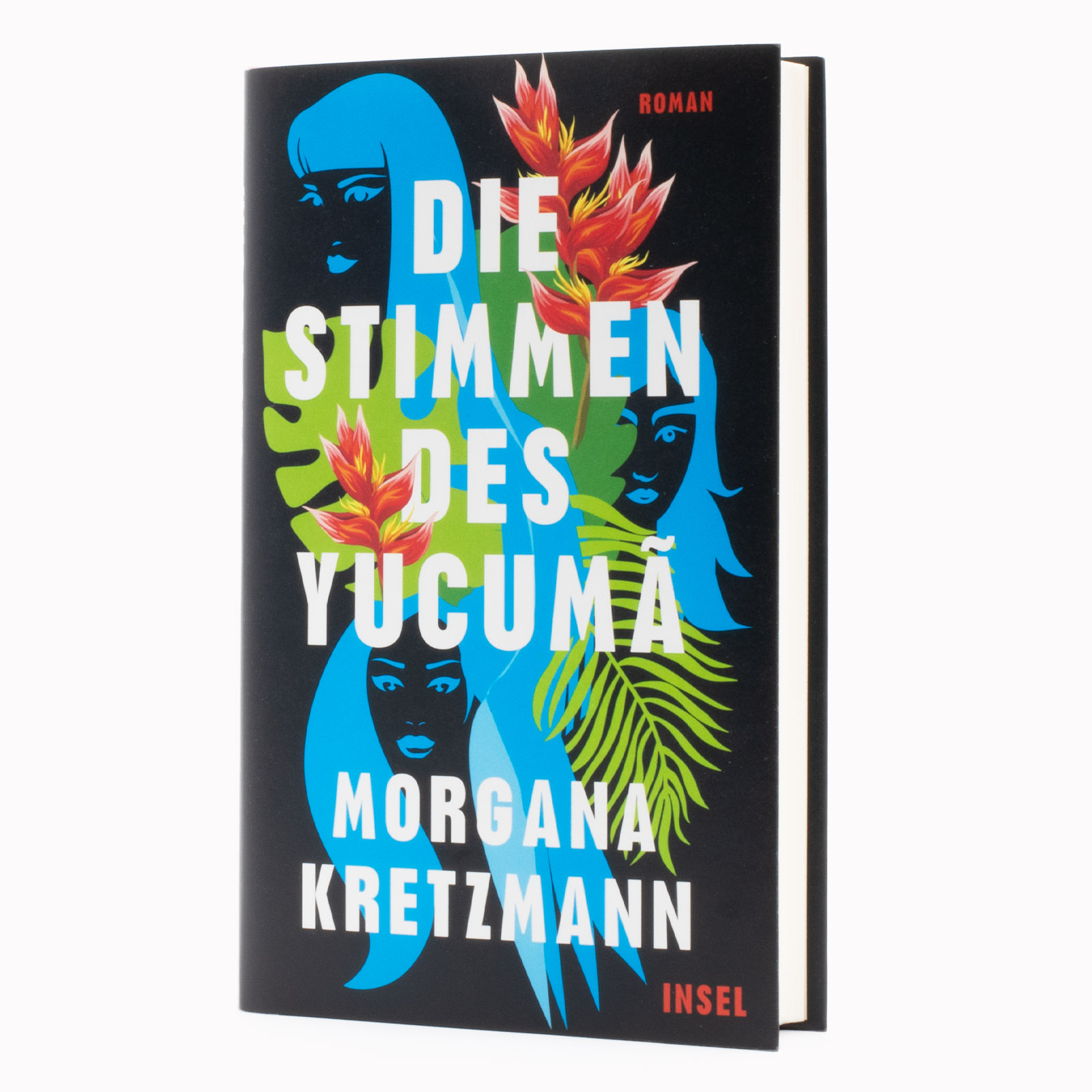 Gesamtes Coverbild Die Stimmen des Yucumã