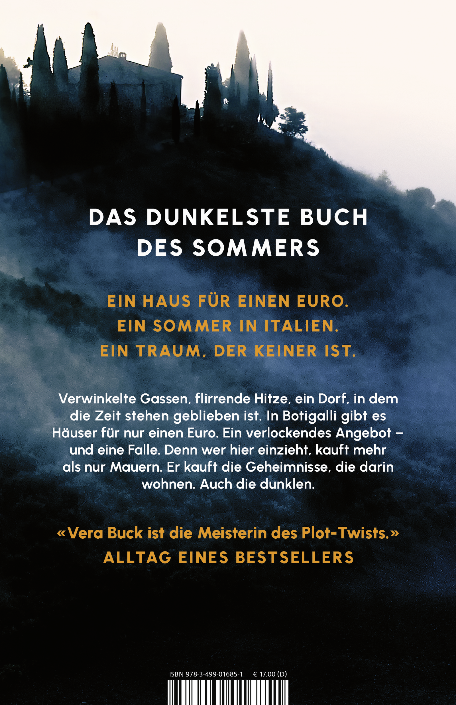 Rückseitencover Der dunkle Sommer