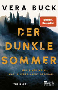 Vorderes Coverbild Der dunkle Sommer
