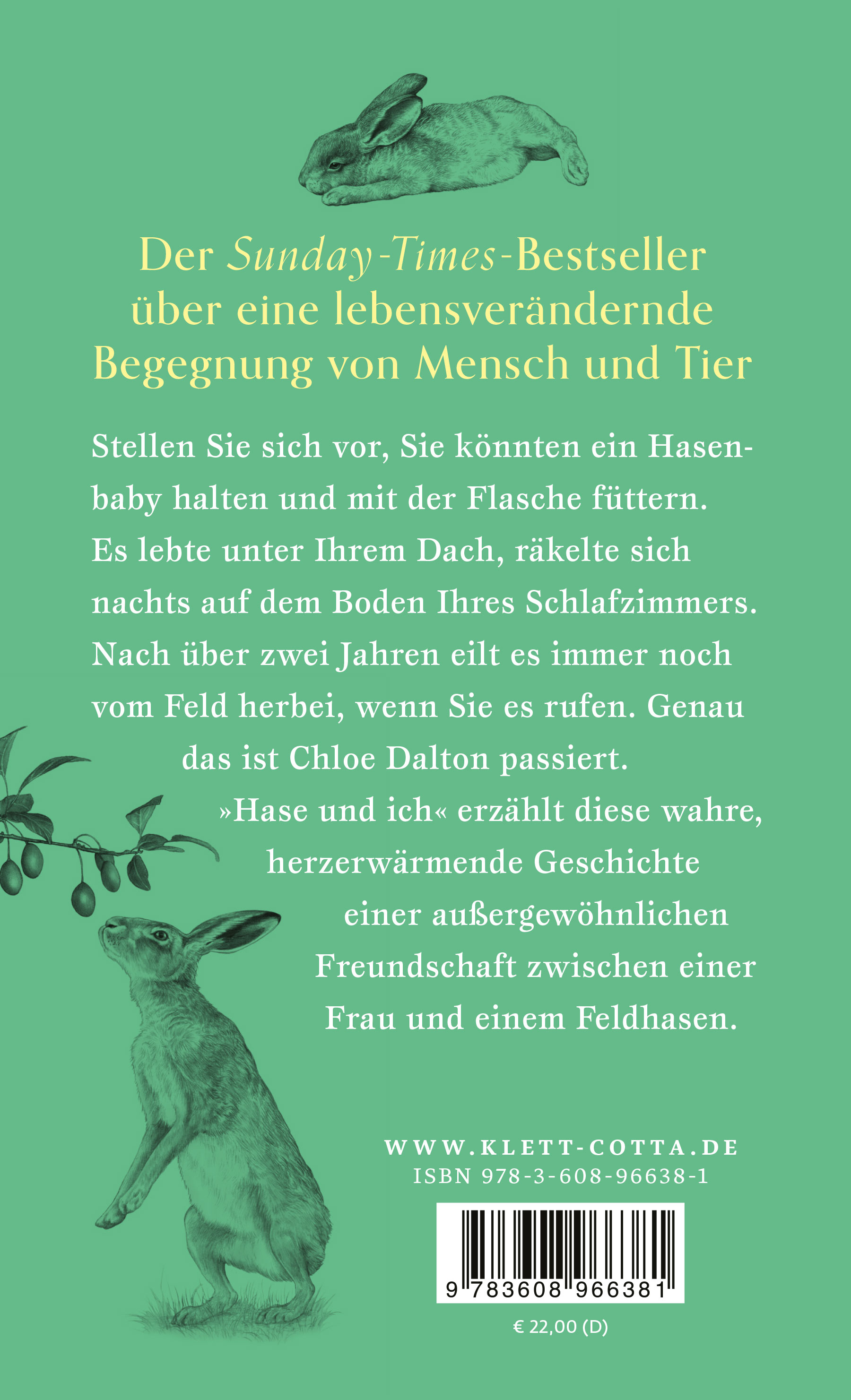 Rückseitencover Hase und ich