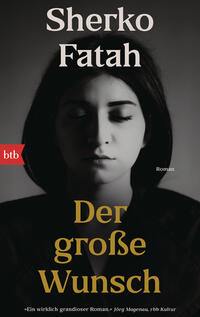 Vorderes Coverbild Der große Wunsch