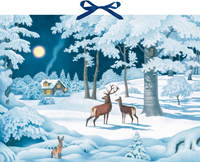 Vorderes Coverbild Wand-Adventskalender - Wintertiere bei Nacht