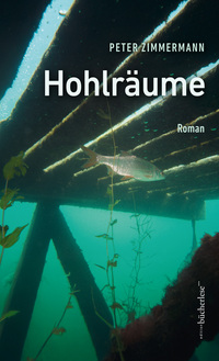 Vorderes Coverbild Hohlräume