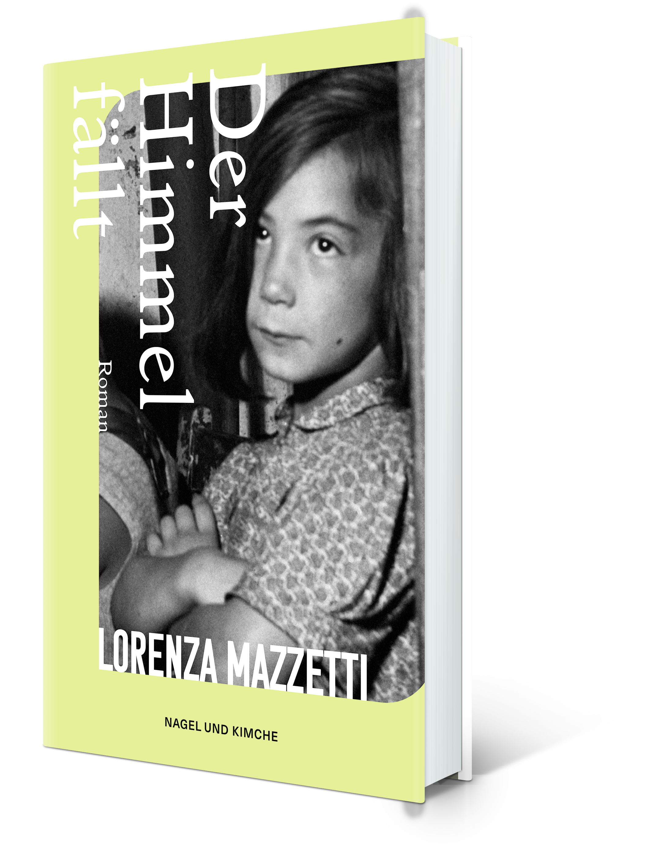 Gesamtes Coverbild Der Himmel fällt