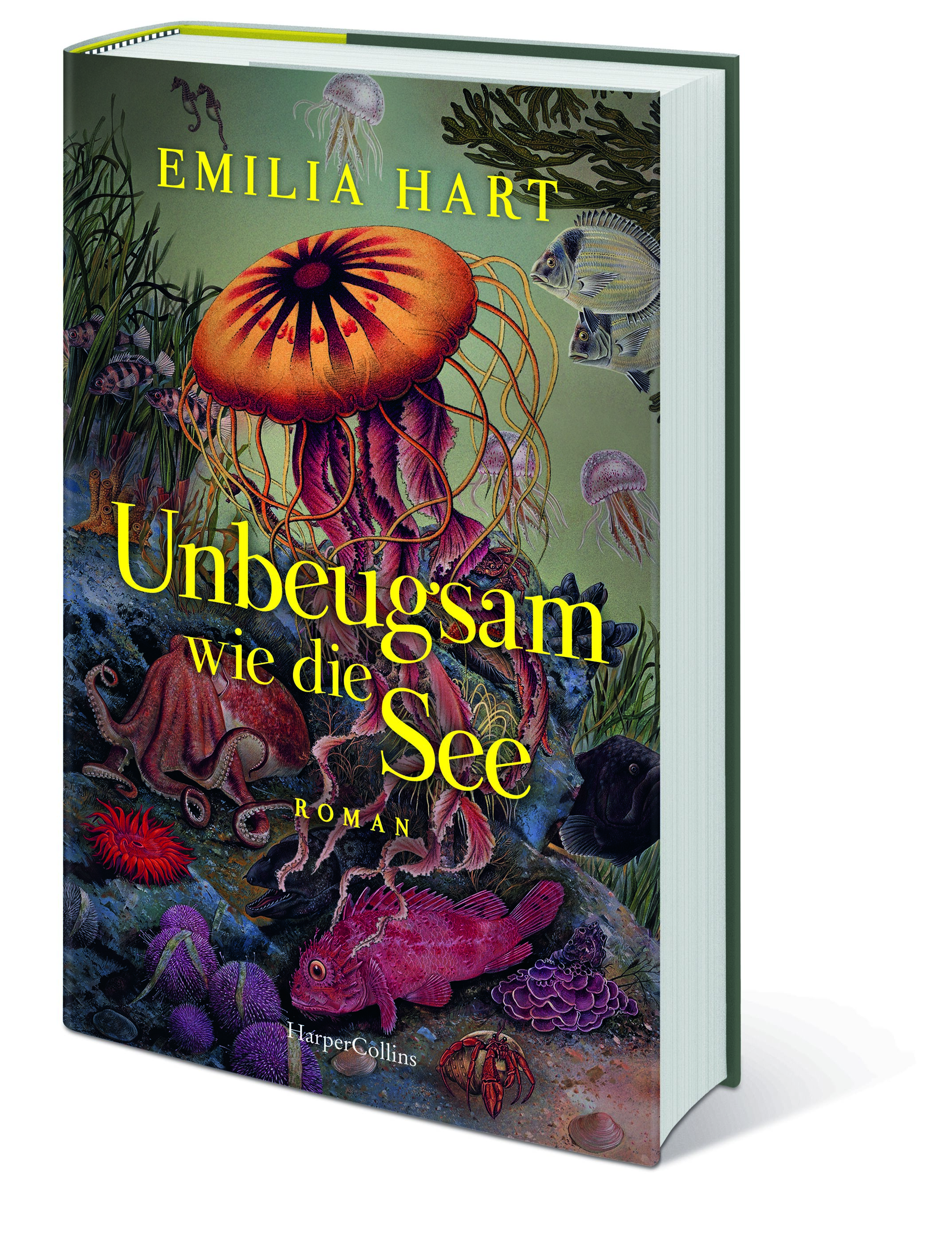 Gesamtes Coverbild Unbeugsam wie die See