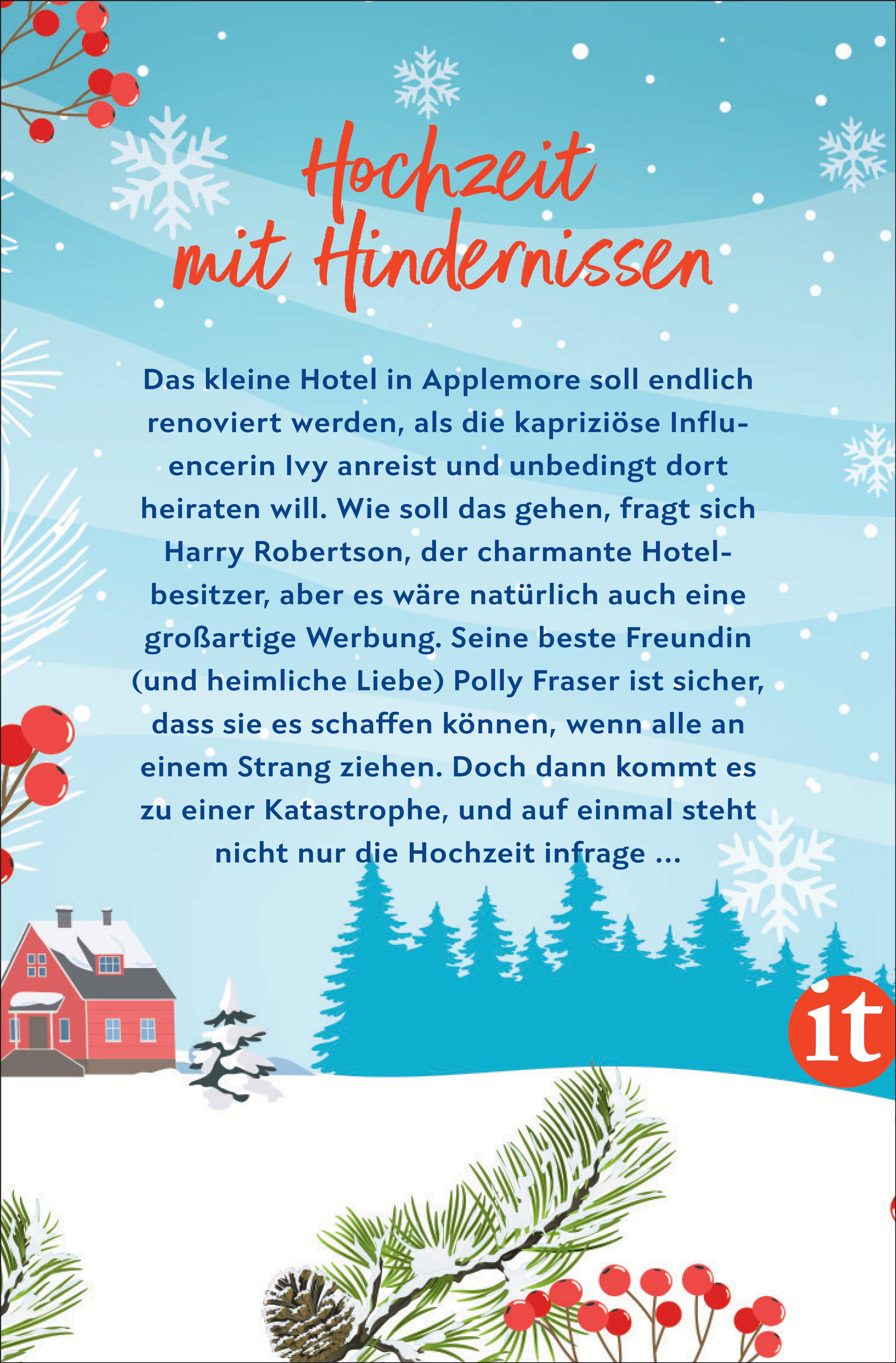 Rückseitencover Weihnachten in Applemore