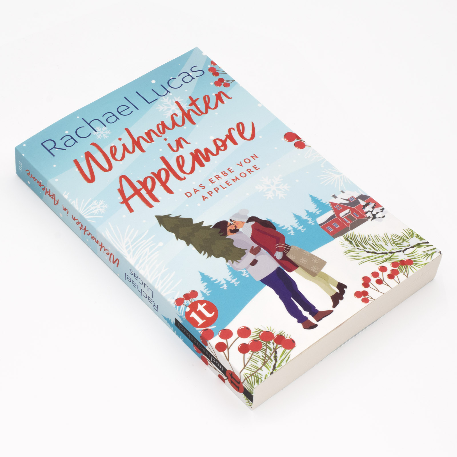 Gesamtes Coverbild Weihnachten in Applemore