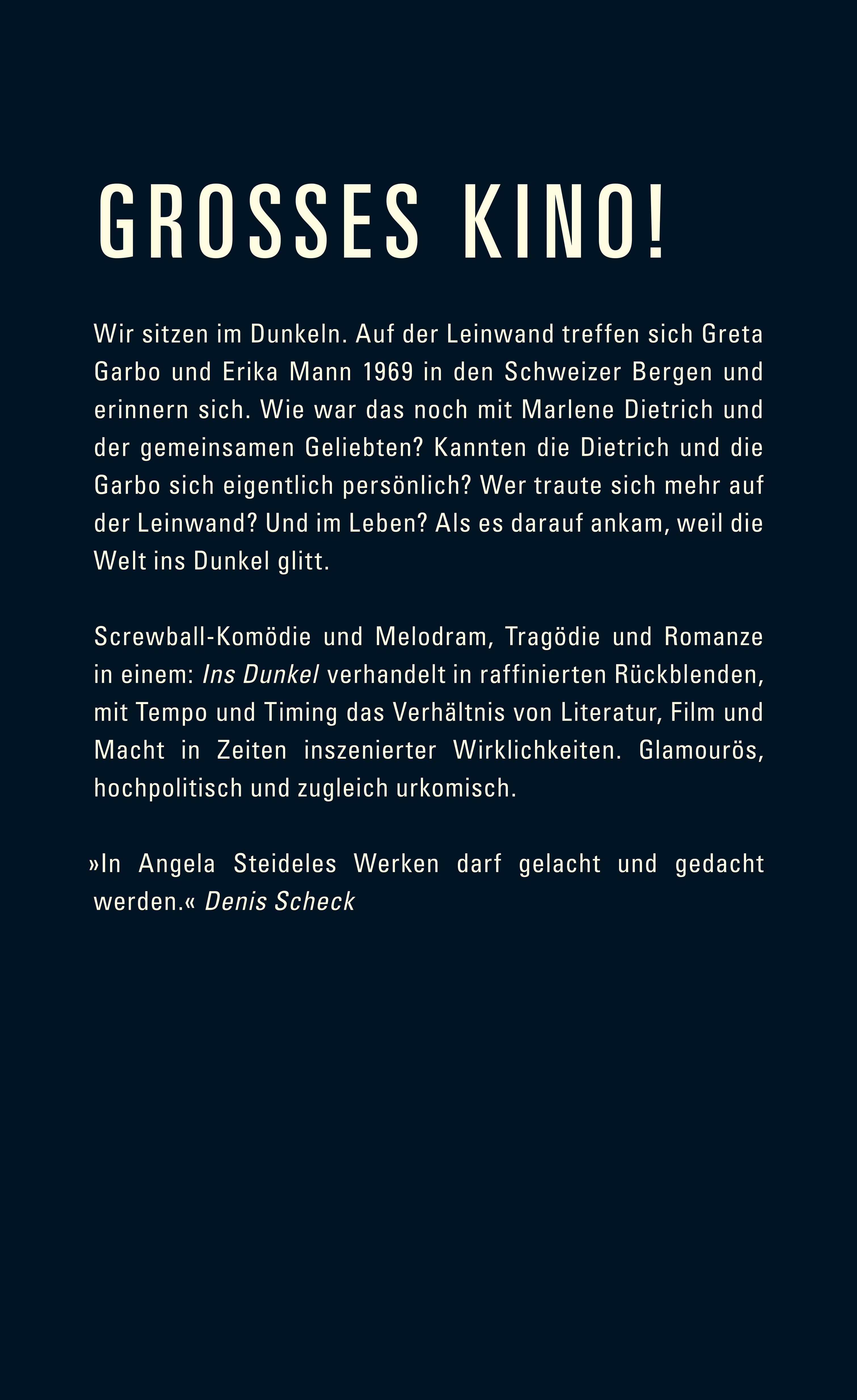 Rückseitencover Ins Dunkel