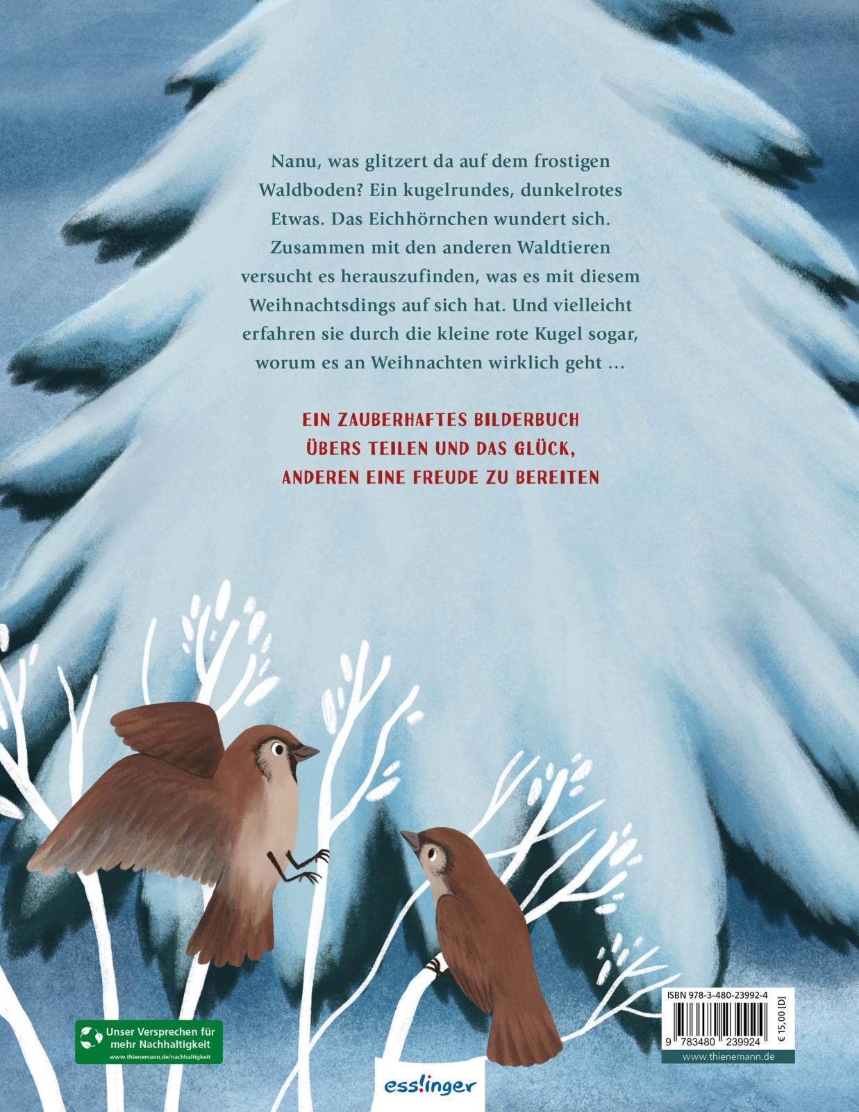 Rückseitencover Wem gehört das Weihnachtsdings?