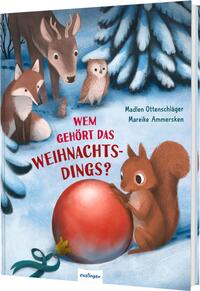 Vorderes Coverbild Wem gehört das Weihnachtsdings?