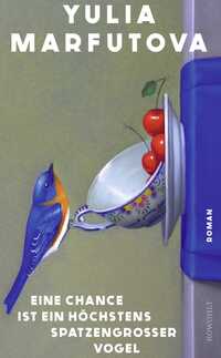Vorderes Coverbild Eine Chance ist ein höchstens spatzengroßer Vogel