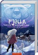 Vorderes Coverbild Fjolla, Hüterin der Schneelande