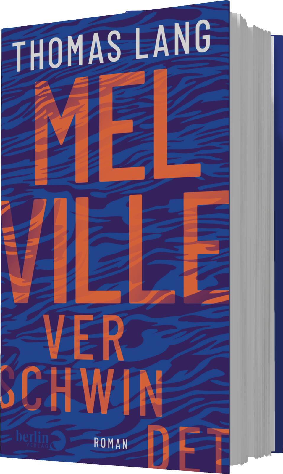 Gesamtes Coverbild Melville verschwindet