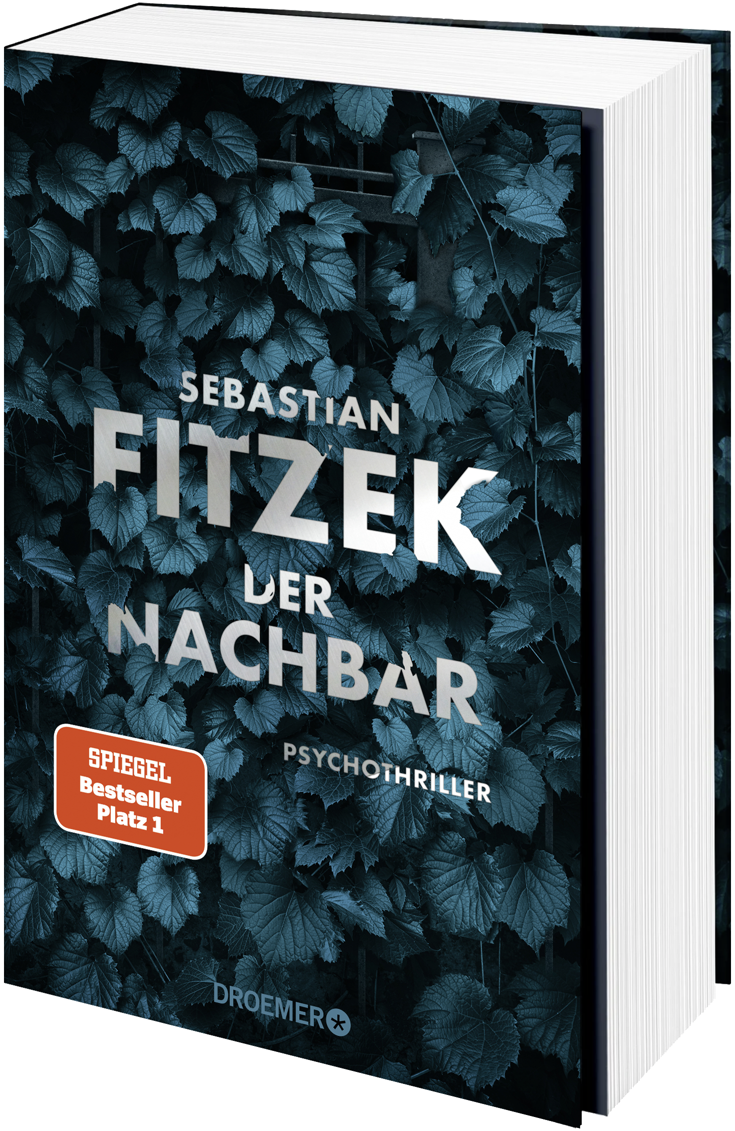 Gesamtes Coverbild Der Nachbar